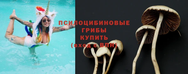 мяу мяу мука Пересвет