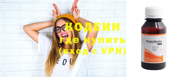 молекула духа Пестово