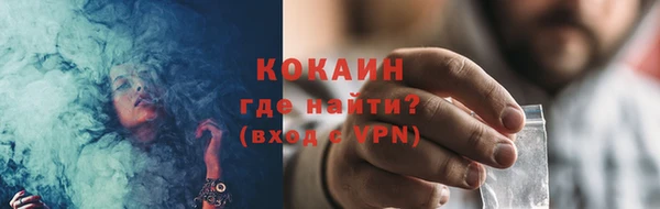 молекула духа Пестово