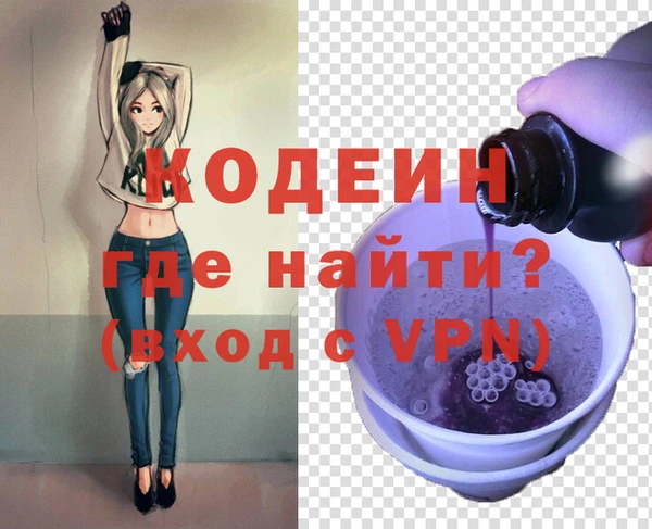 молекула духа Пестово