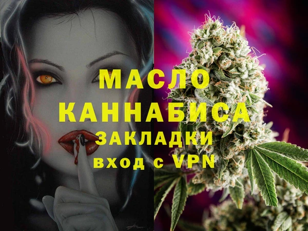молекула духа Пестово
