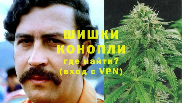 молекула духа Пестово
