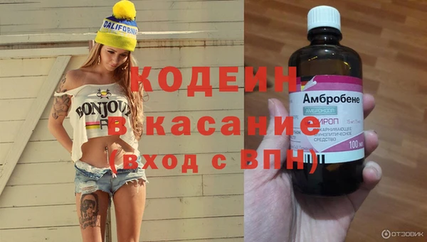 мяу мяу мука Пересвет