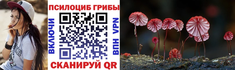 Псилоцибиновые грибы мицелий  МЕГА как войти  Черногорск 