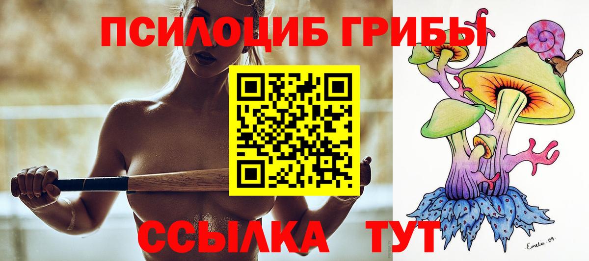 A PVP Черногорск